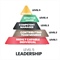 Will you be a Level Five Leader?